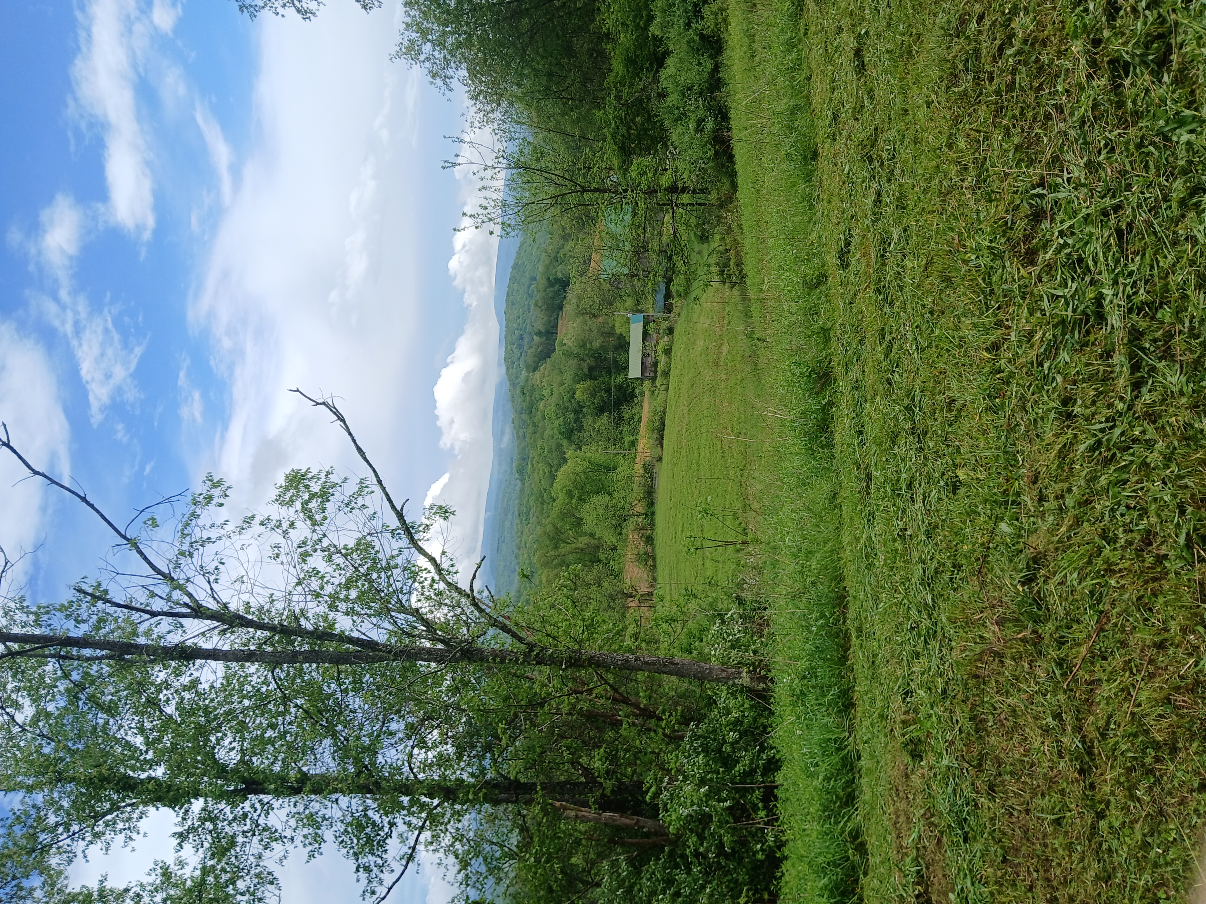 Highland Farms mountain pasture