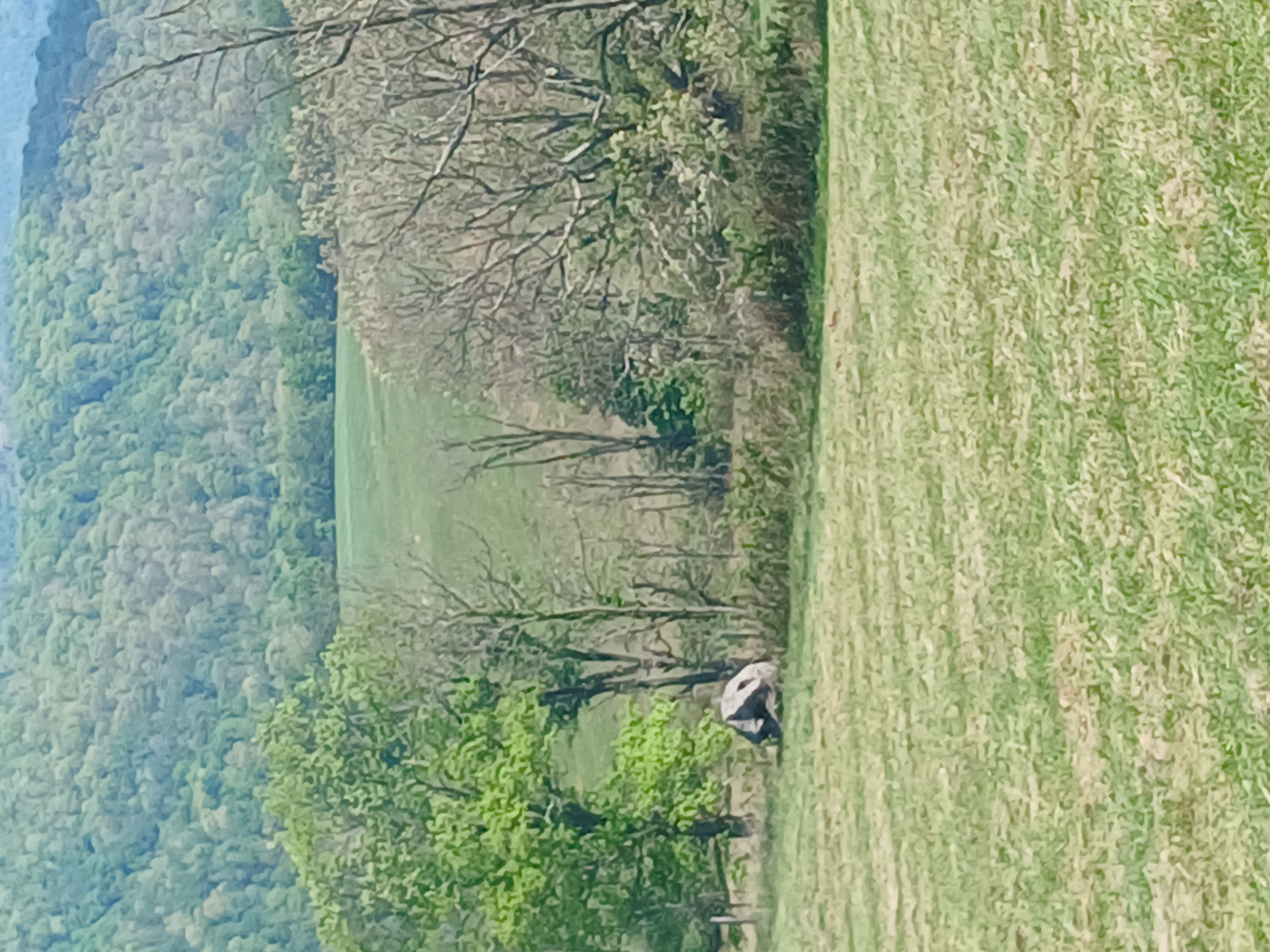 Highland Farms wooded valley