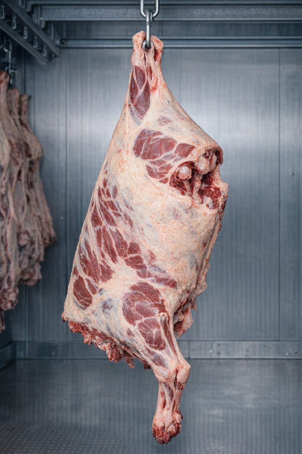 Quarter Beef Reservation Deposit — Hindquarter, Grass-Finished